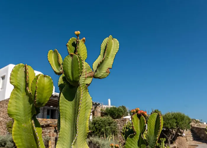 Vila Dreamlike Mykonos Ornos (Mykonos)