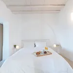 Dreamlike Mykonos 别墅 *