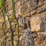 Dreamlike Mykonos Ornósz