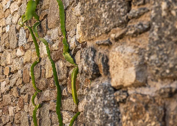 Dreamlike Mykonos אורנוס